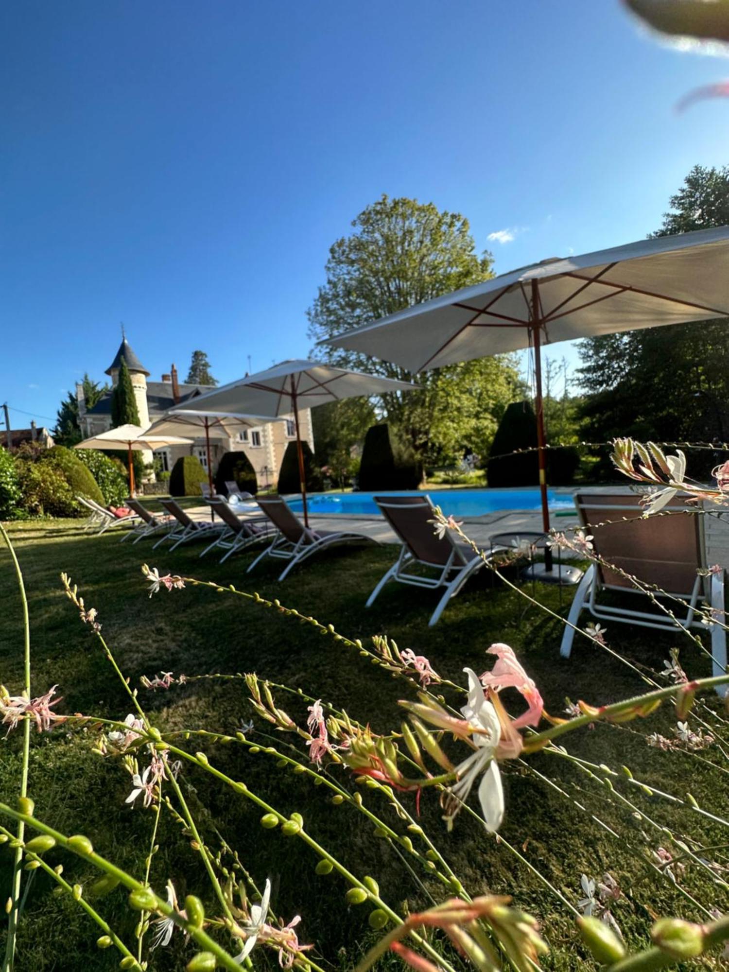 Bed and Breakfast Le Moulin De Francueil Zewnętrze zdjęcie
